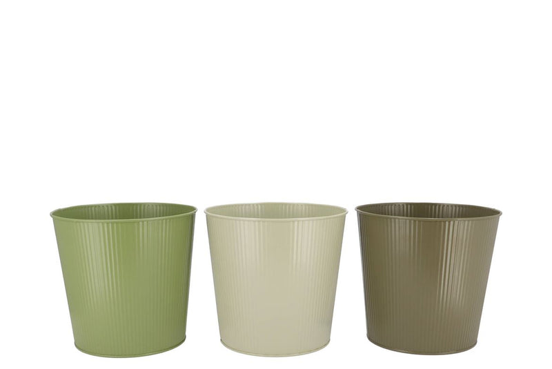 Zinc Summer Green Mix Bucket Striped Ass 17x16x13c
