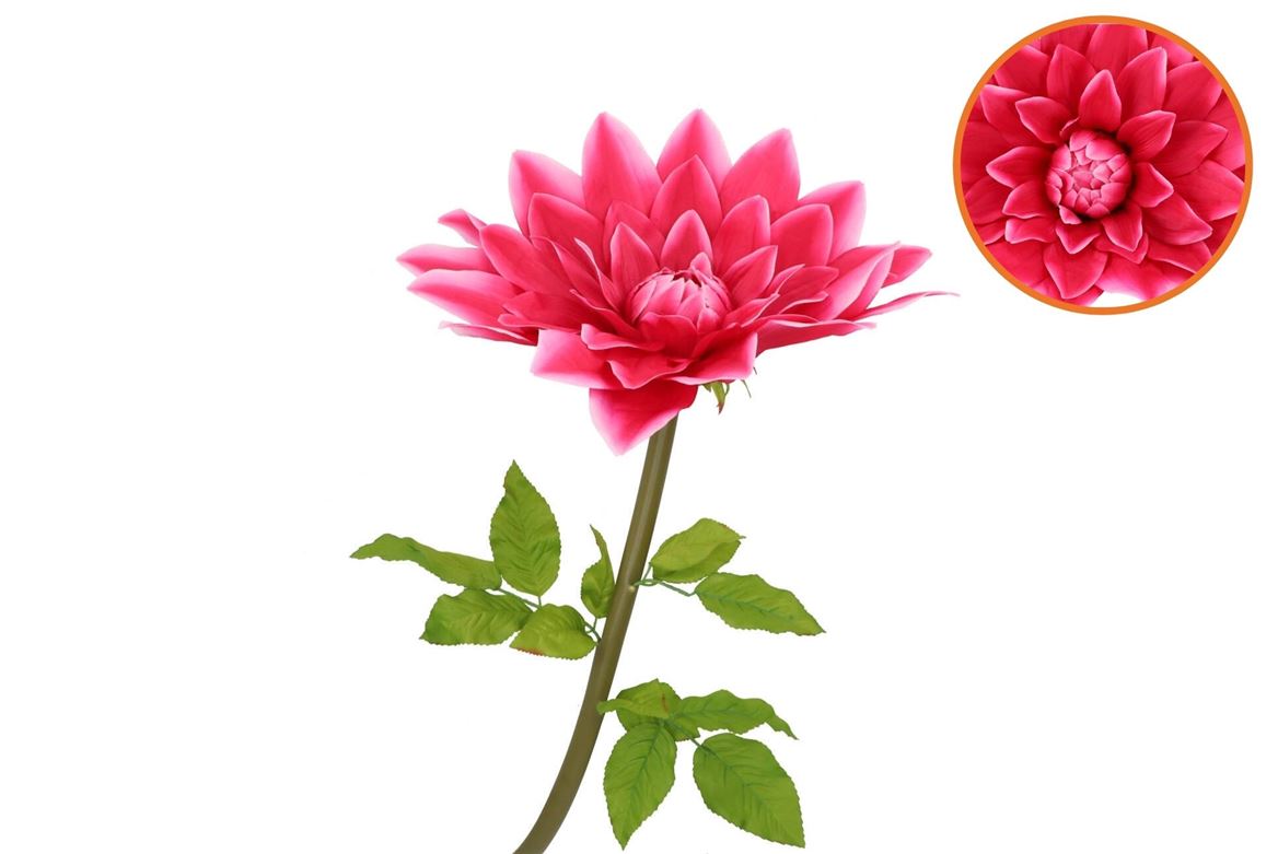 Silk Amazing Dahlia Beauty Fuchsia Xxl 50x120cm