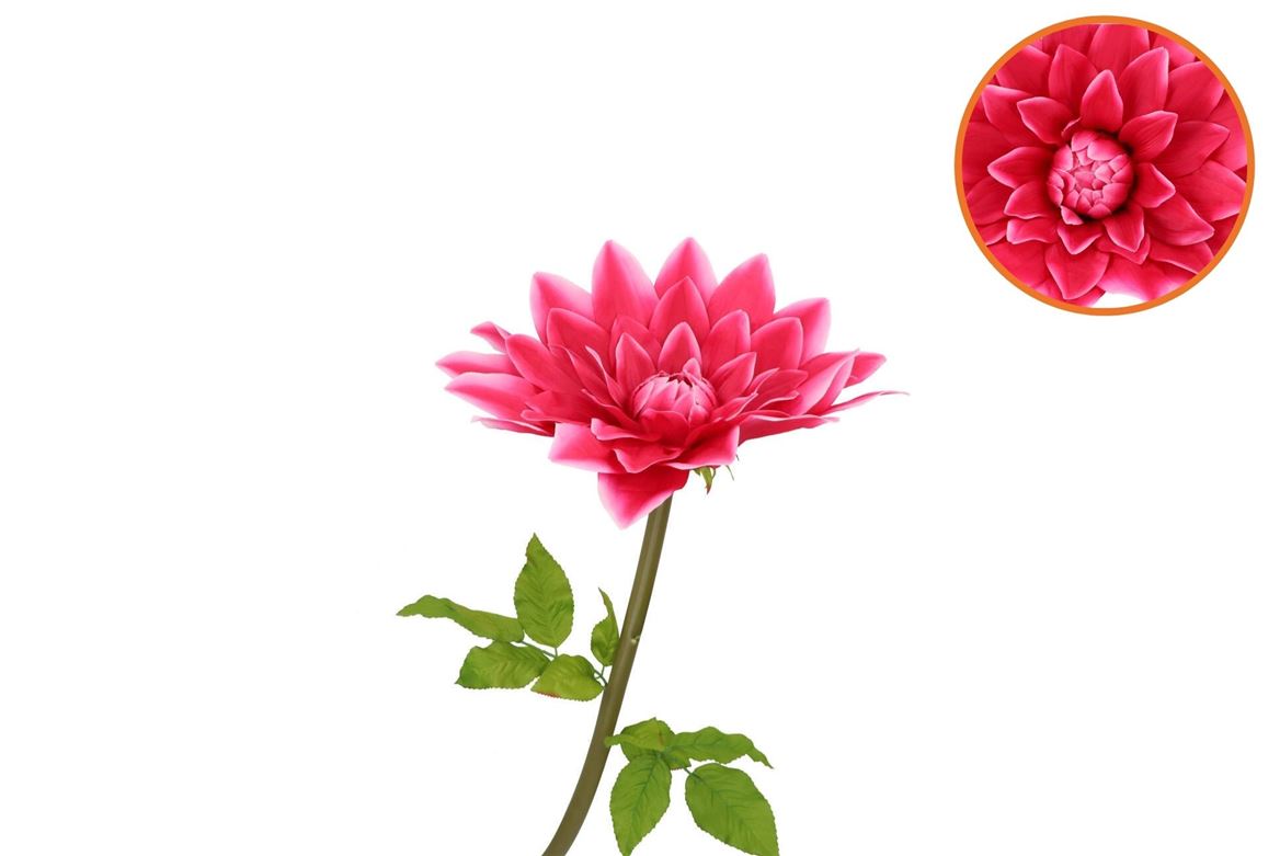 Silk Amazing Dahlia Beauty Fuchsia L 35x100cm