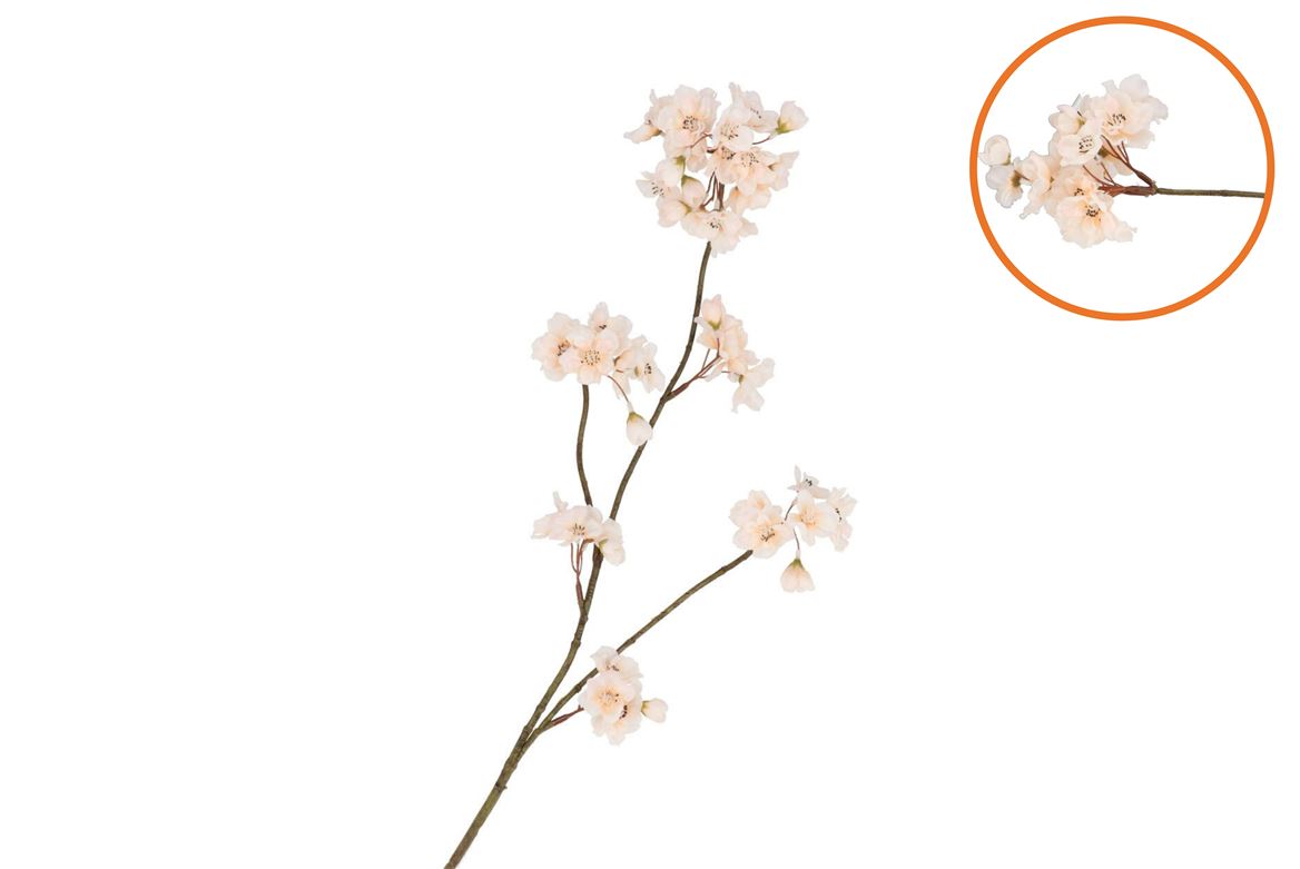 Silk Cherry Blossom Champagne 85cm