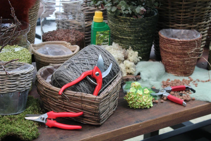 Couteaux / ciseaux / pinces