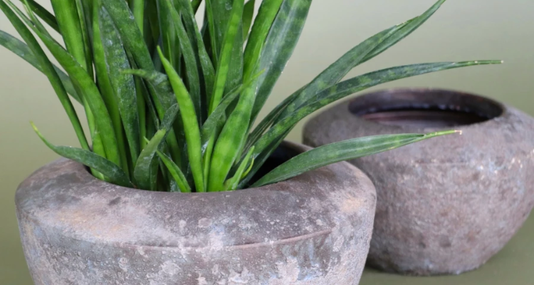 Pots De Poterie