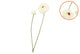 Silk Zinnia White 54cm
