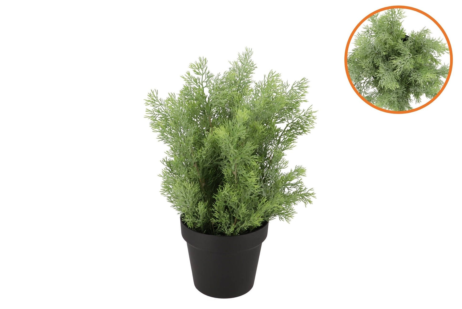 Silk Cypress Green In Pot M 23x23x30cm