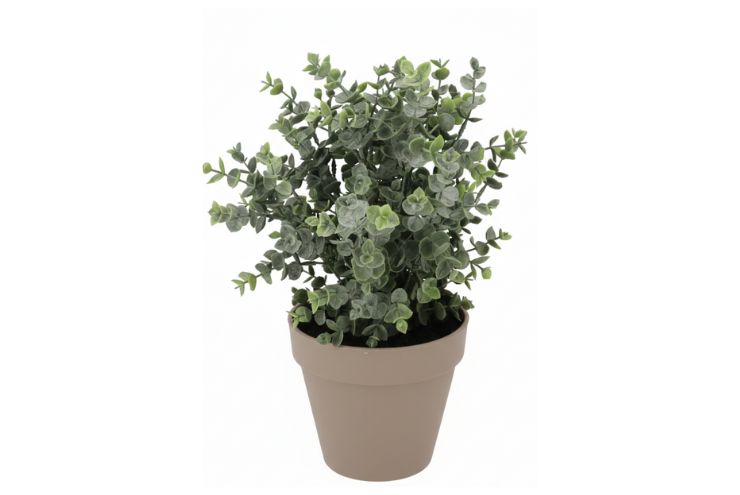 Silk Eucalyptus Green In Pot Terra L 30x30x40cm