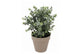 Silk Eucalyptus Green In Pot Terra L 30x30x40cm