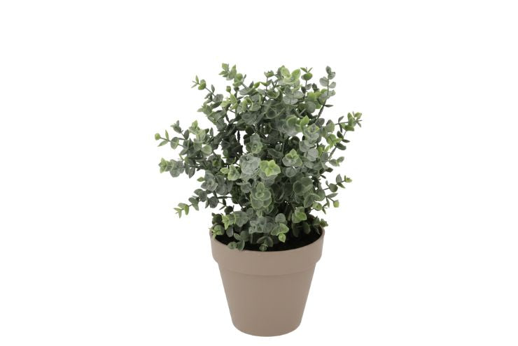 Silk Eucalyptus Green In Pot Terra M 25x25x28cm