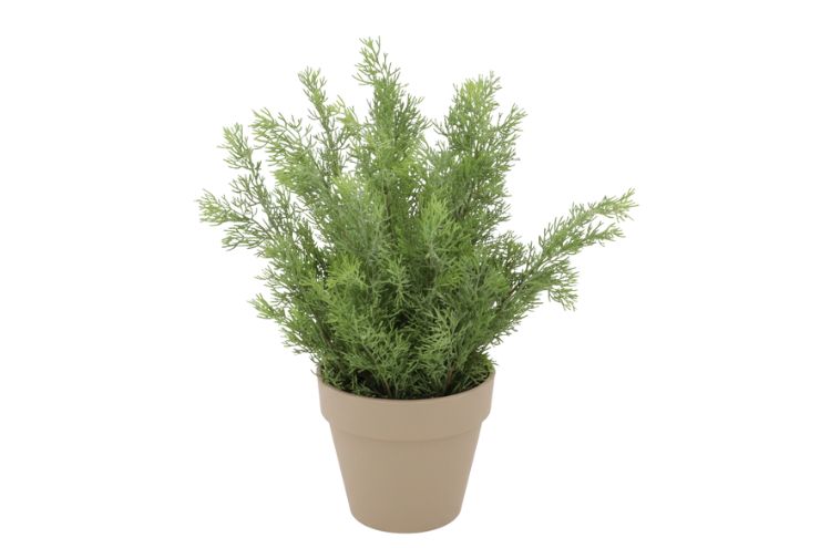 Silk Cypress Green In Pot Terra L 33x33x50cm