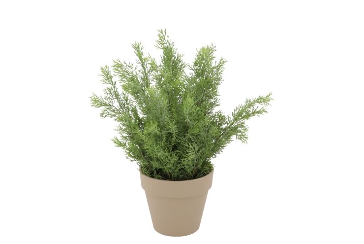 Silk Cypress Green In Pot Terra M 23x23x31cm