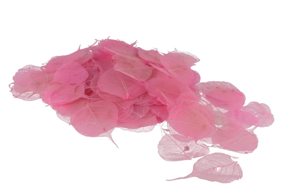 Feuilles Squelette Rose Par 200 Pièces