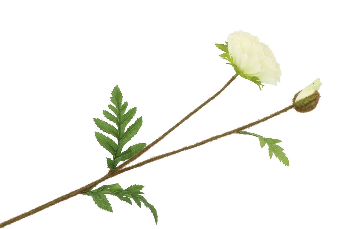 Silk Papaver Branche Blanc 64cm