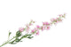 Silk Delphinium Pink 93cm Nm