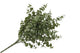 Silk Eucalyptus Green 47cm Nm