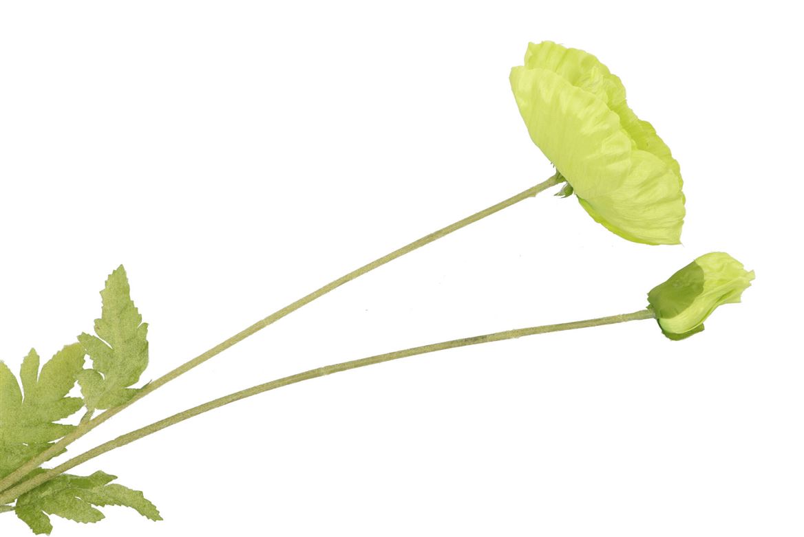 Silk Poppy Leaf Green 96cm Nm