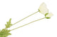 Silk Papaver 2x White 96cm Nm