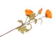 Silk Poppy 3x Orange 76cm Nm