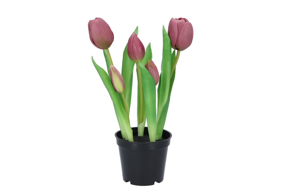 Silk Tulip In Pot 5x Mauve 26cm Nm