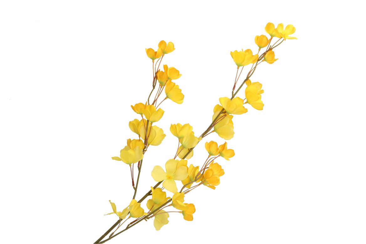 Silk Wolfberry Yellow 106cm Nm