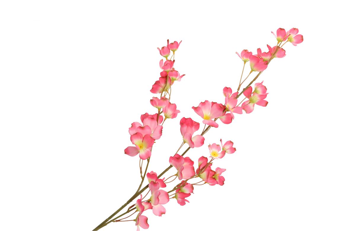 Silk Wolfberry Pink 106cm Nm