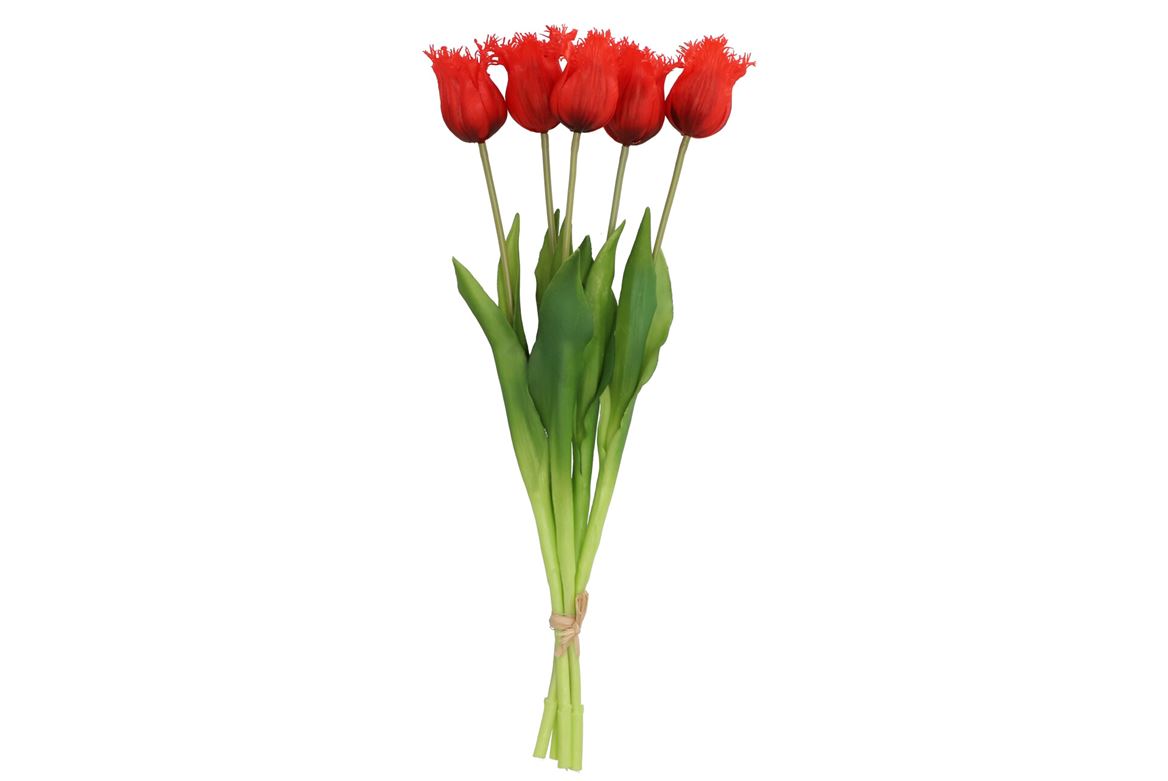 Silk Tulip 5x Red 46cm Nm