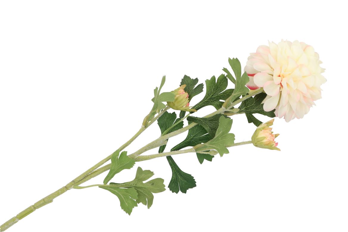 Silk Dahlia 3x Creme 65cm Nm