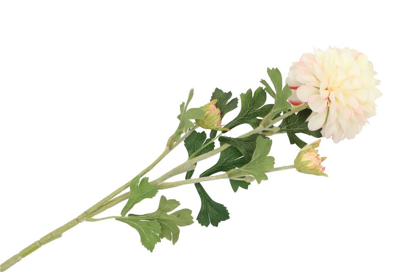 Silk Dahlia 3x Creme 65cm Nm
