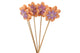 Pick Flower Orange On Stick P/6 50cm Nm