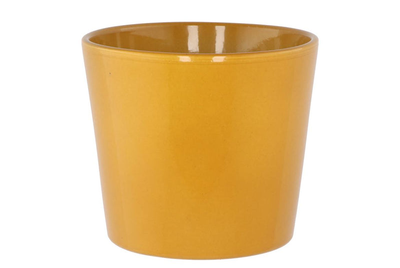 Ceramic Curry Shiny Pot 15cm