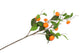 Silk Clementine Orange 90cm Nm