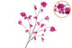 Silk Cherry Blossom Purple 126cm Nm