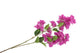 Silk Bougainville Tak Purple 106cm Nm