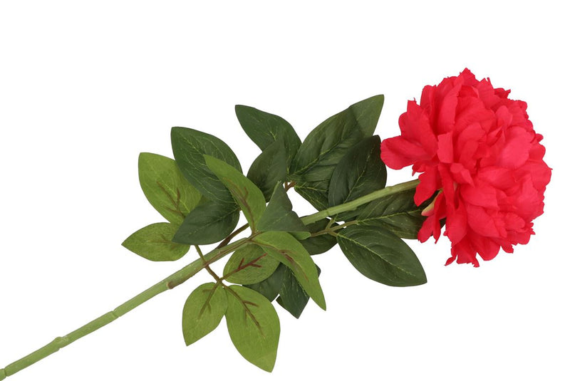 Silk Peony Tak Red 71cm Nm