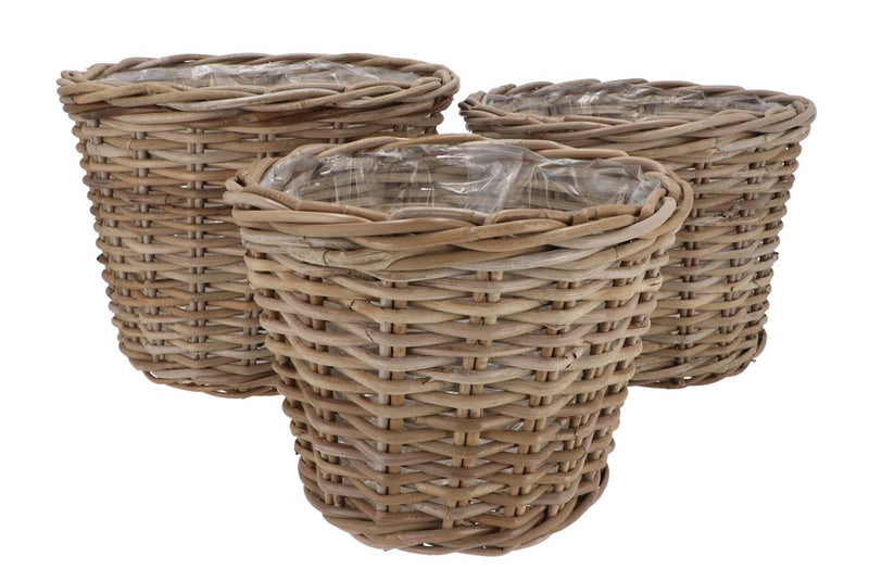 Rattan Ivy Basket S/3 D23/26/29