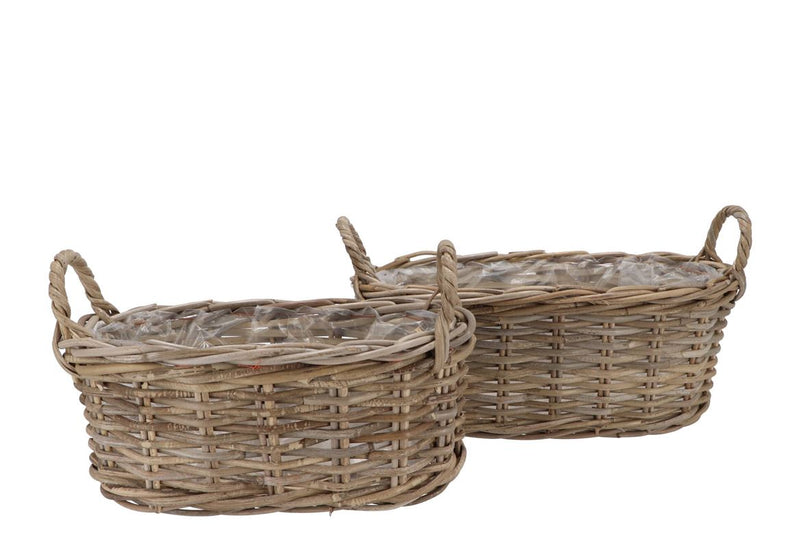 Rattan Ivy Basket Oval Ears S/2 L39/43 W17/21