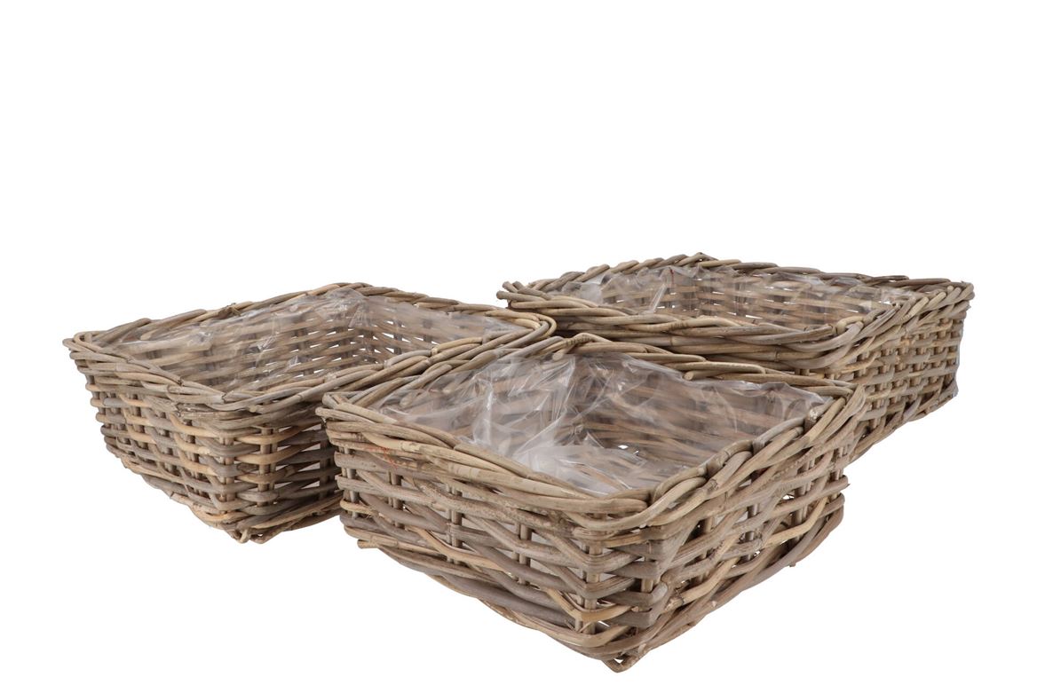 Rattan Ivy Basket Square Low S/3 W32/37/42 H13/14/