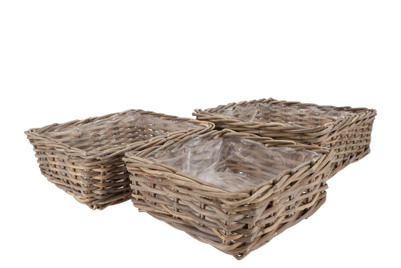 Rattan Ivy Basket Square Low S/3 W32/37/42 H13/14/