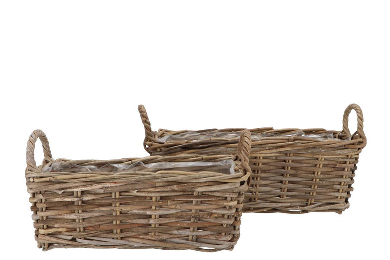 Rattan Ivy Basket Rectangle Ears S/2 L39/45 W16/20