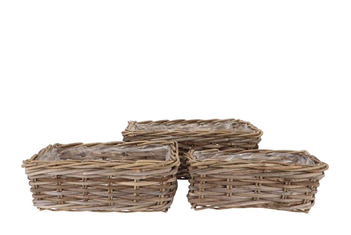 Rattan Ivy Basket Rectangle S/3 L34/37/41 W18/22/2