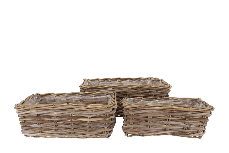 Rattan Ivy Basket Rectangle S/3 L34/37/41 W18/22/2