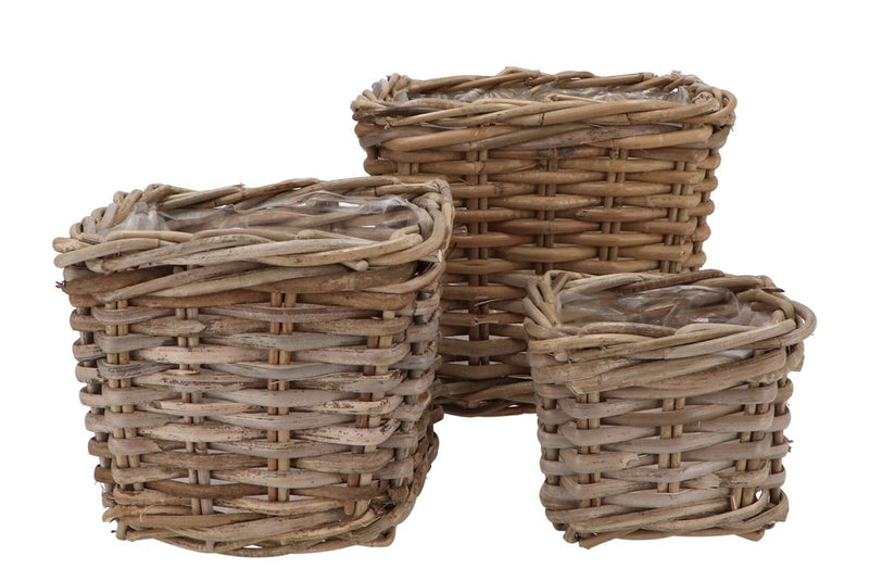 Rattan Ivy Basket Square S/3 W15/20/25 H13/18/22