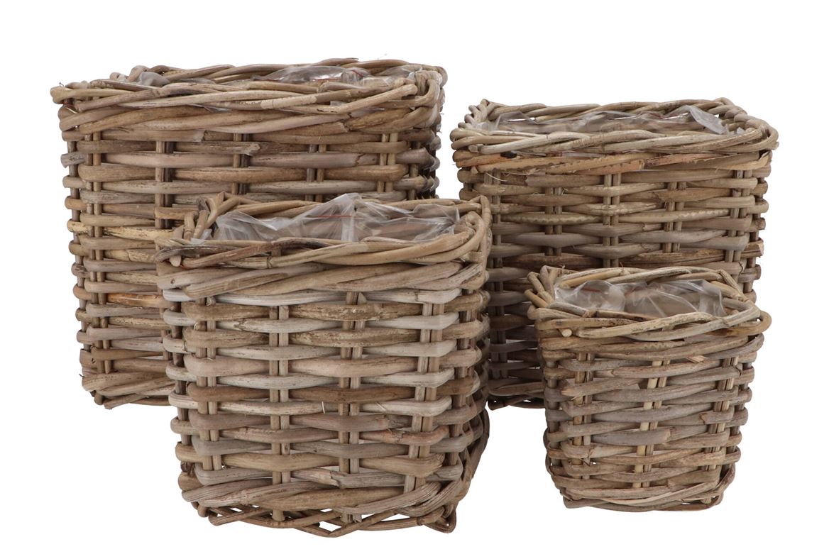 Rattan Ivy Basket Square S/4 W15/20/25/30 H13/18/2