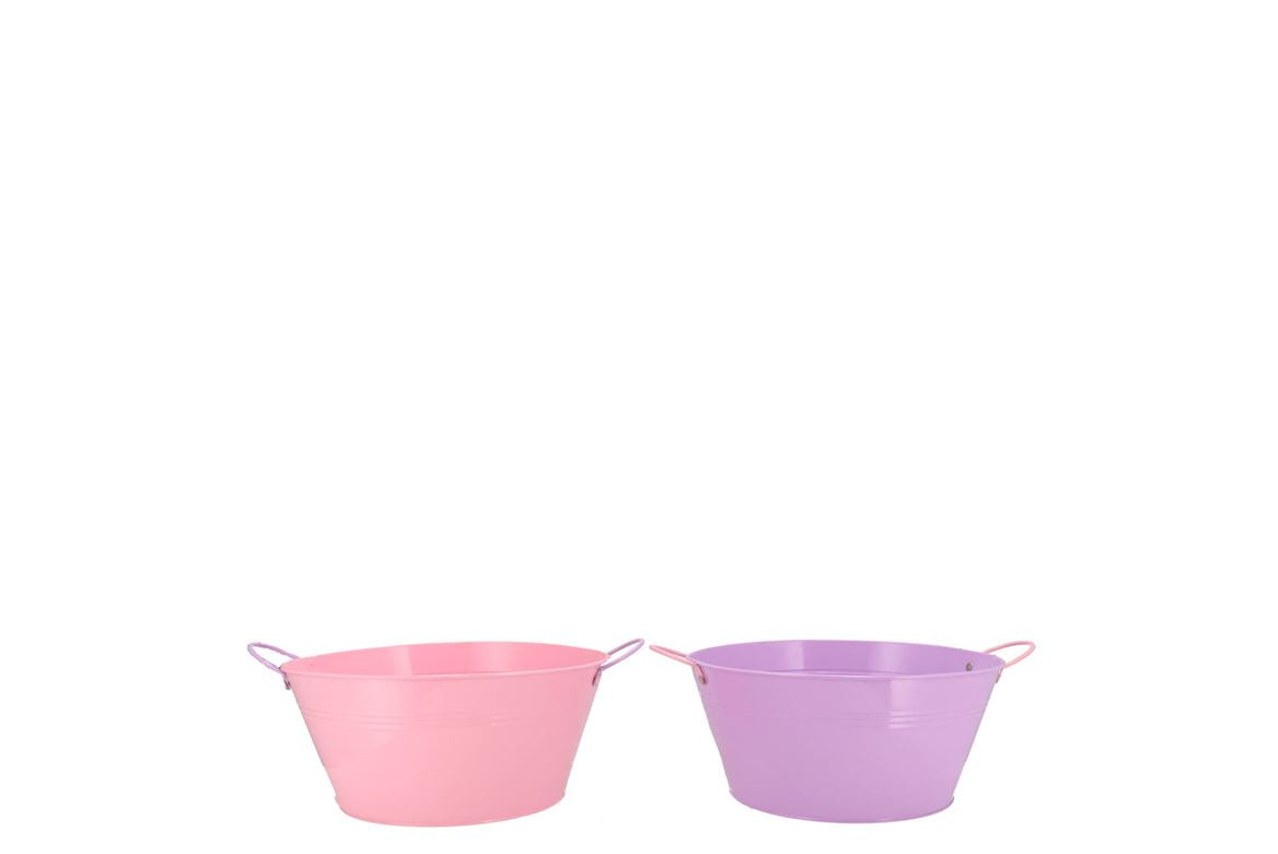 Zinc Basic Lila/pink Ears Bowl 20x10cm