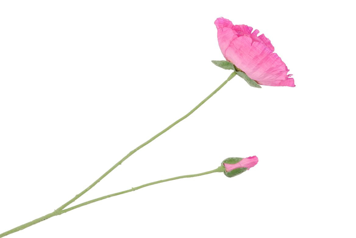 Silk Poppy 2x Pink 70cm