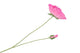 Silk Poppy 2x Pink 70cm