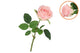 Silk Rose Real Touch Cream 43cm Nm