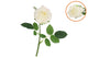 Silk Rose White Real Touch 43cm