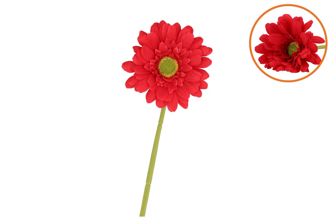 Silk Gerbera Red 72cm Nm
