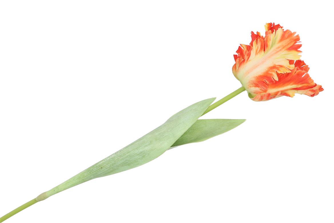 Silk Tulip Papagayo Orange/yellow 64cm