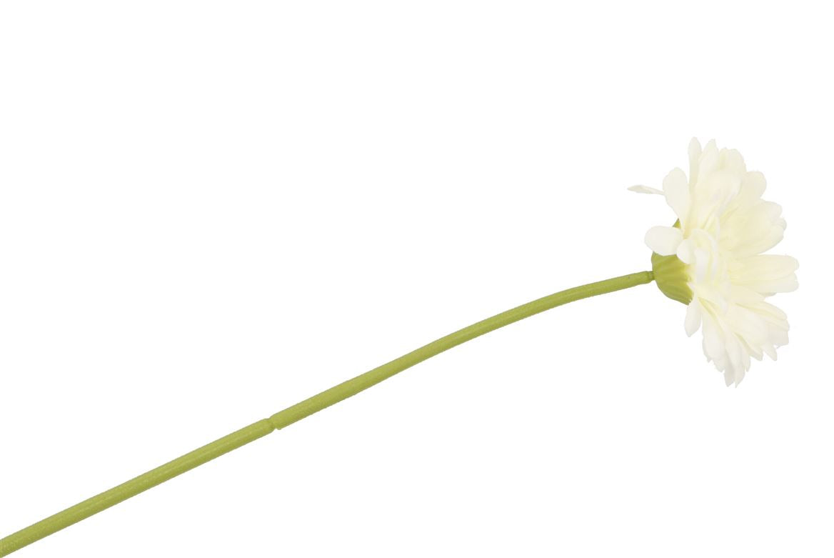 Silk Gerbera White 72cm Nm