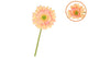 Silk Gerbera Peach/light Pink 72cm